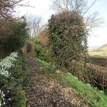 Bed and Breakfast Highfield Hay-On-Wye Exteriér fotografie